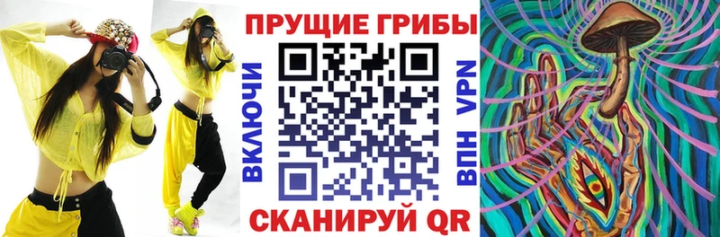 Псилоцибиновые грибы Magic Shrooms продажа наркотиков Железноводск